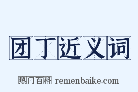 团丁近义词是什么意思的图片